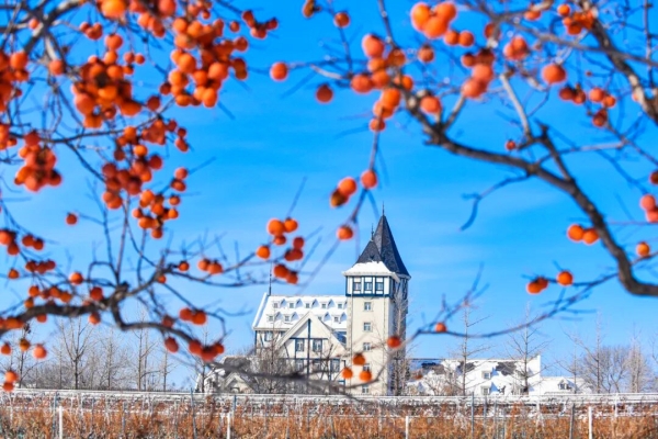 1765361033636035375.jpg rBBFBGk3dfqAedKPAAJmbJk2vto818_副本.jpg