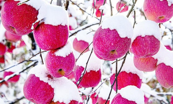 1765519447965079855.png 山东5.png