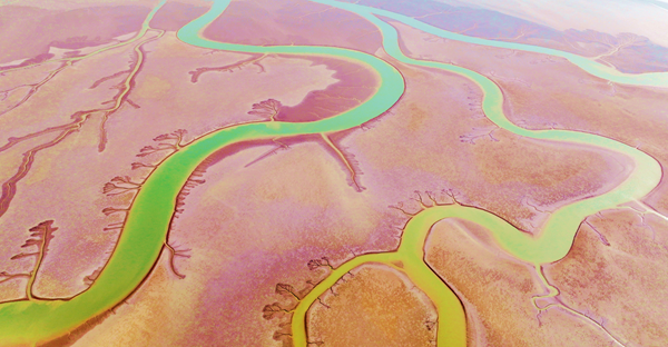 1745223460119075387.png 东营英文网1.png