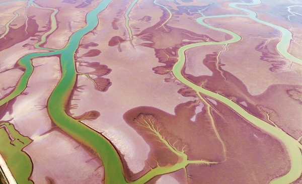 1745223500547009038.png 东营英文网3.png