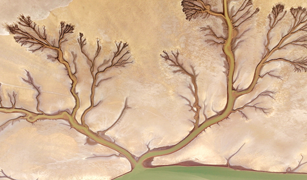 1745223534197007870.png 东营英文网4.png