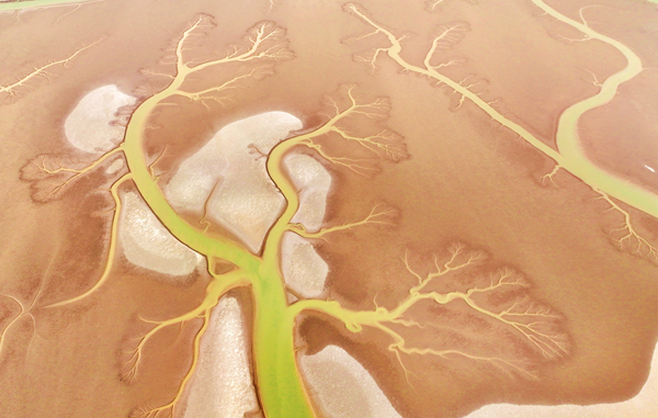 1745223559306068589.png 东营英文网5.png