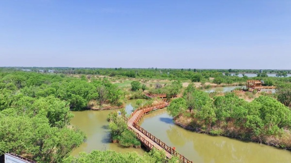 1746605287710075389.jpg 东营英文网2.jpg