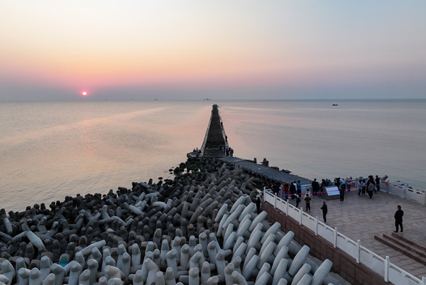 1747219091947037762.png 东营英文网1.png