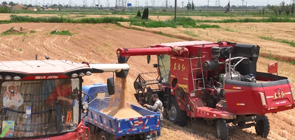 1749550227192014680.png 东营英文网2.png