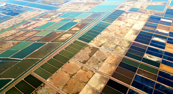 1751362728207002259.png 东营英文网2.png