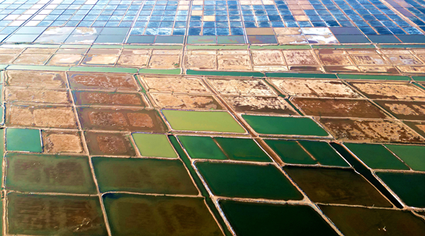 1751362757212000871.png 东营英文网3.png