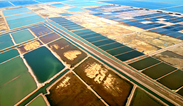 1751362779469019870.png 东营英文网4.png