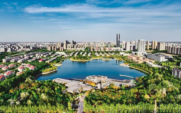 1752139380518048101.jpg 东营英文网1.jpg