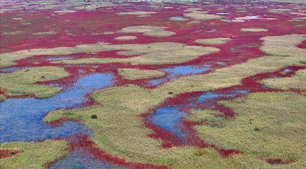 1759050213475012794.jpg 东营英文网 (3).jpg