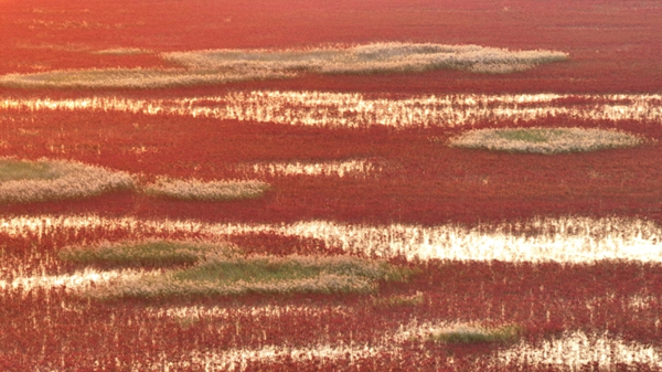 1759134103308044299.png 东营英文网2.png