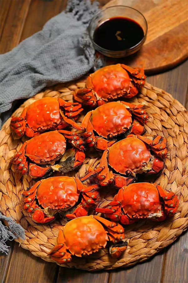 1759134196711060027.png 东营英文网6.png