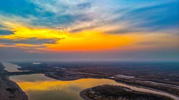 1764581434401019261.jpg 东营英文网1.jpg