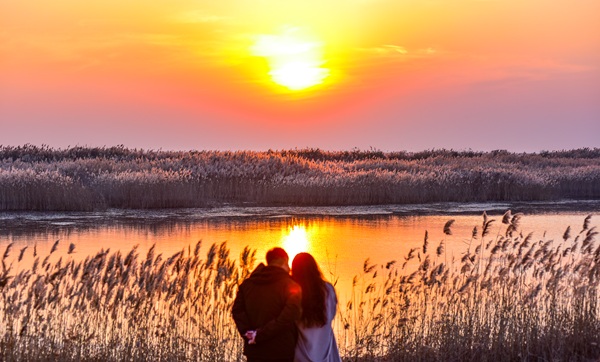 1764581454862072551.jpg 东营英文网2.jpg