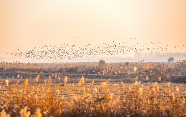 1764581520896087645.jpg 东营英文网5.jpg