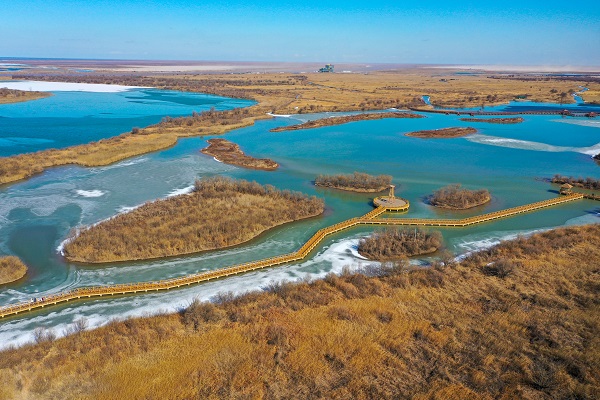Autumn adventure at Yellow River estuary with Moroccan friend