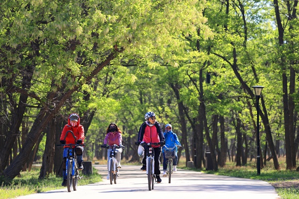 Dongying sees holiday tourism surge during May Day holiday