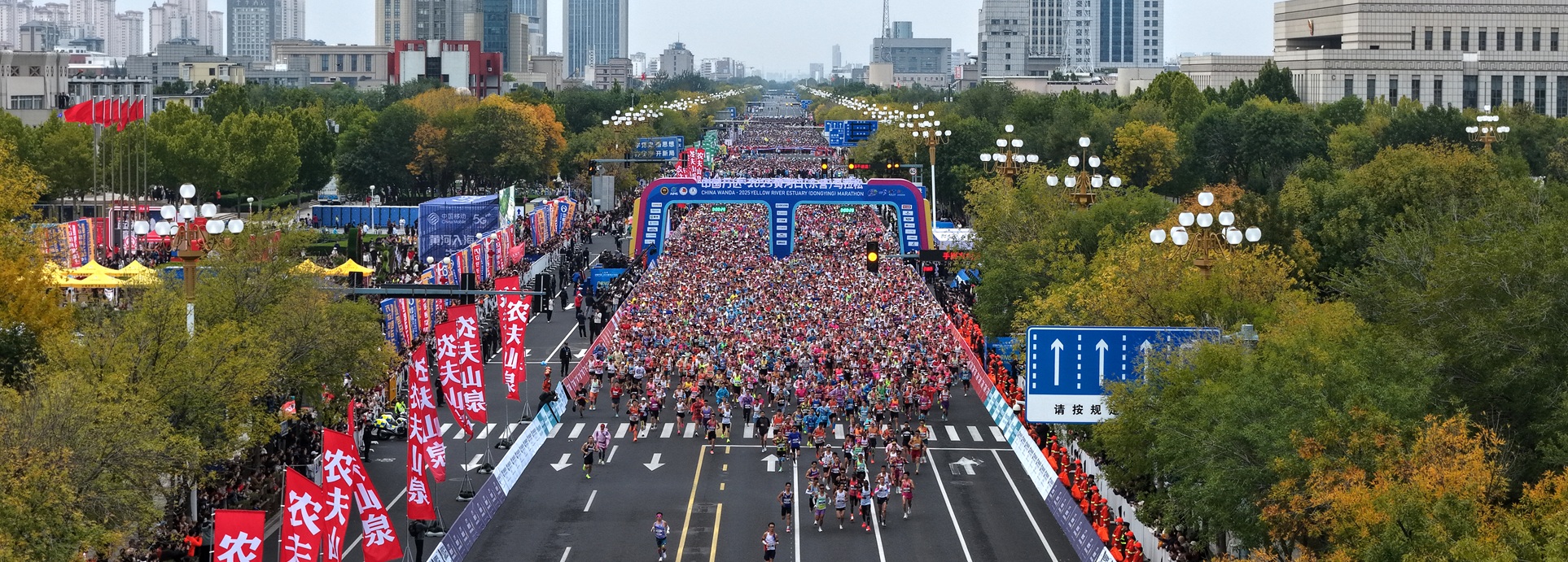 Dongying marathon highlights city's sporting spirit, scenic charm