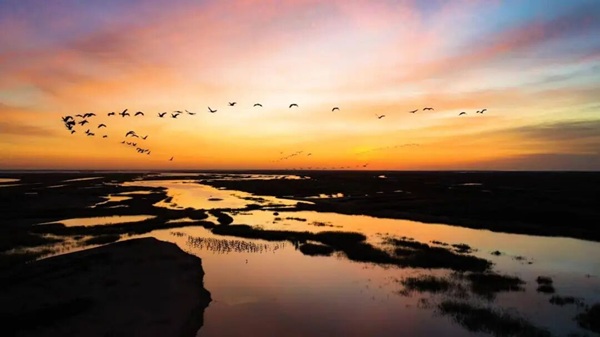 Dongying promotes implementation of national Yellow River strategy