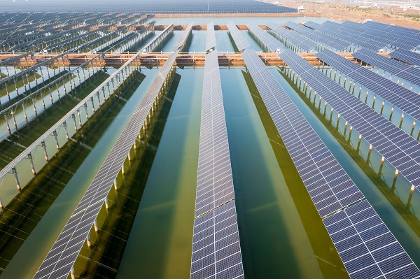 Dongying advances renewable energy development