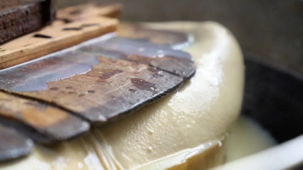 Dongying's ICH cuisine: Cuijiaheya tofu