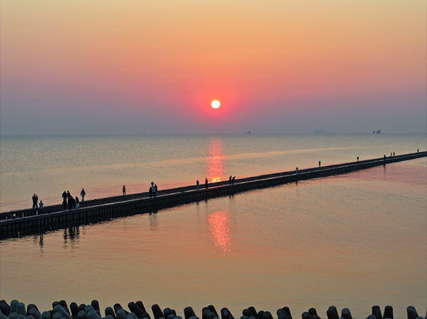 Dongying's coastal gem attracts visitors