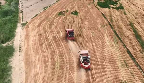 Smart technology boosts wheat harvest in Dongying