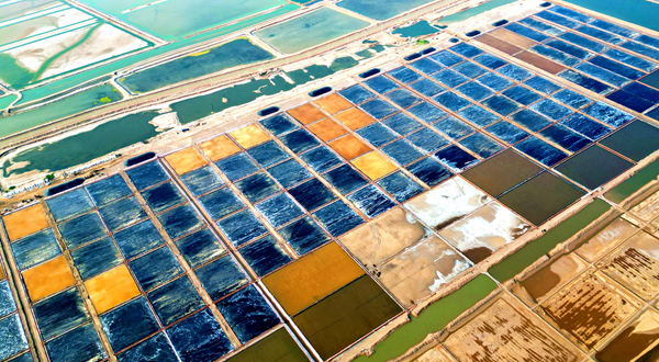Dongying's salt ponds create living canvas