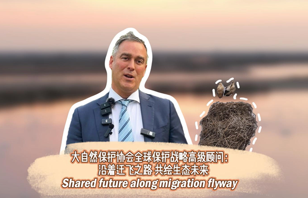 Shared future along migration flyway