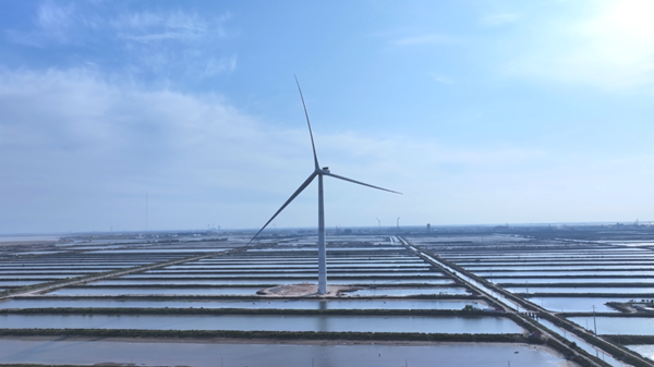 Dongying development zone builds full offshore wind power industry chain