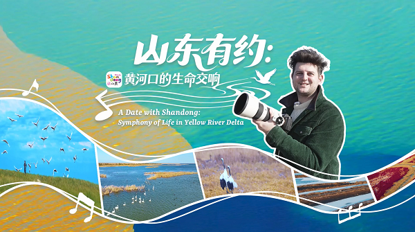 A date with Shandong: Symphony of life in Yellow River Delta