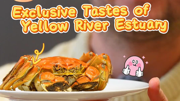 Exclusive tastes of Yellow River Estuary