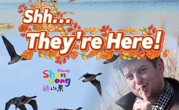 Up close with the birds of the Yellow River Estuary