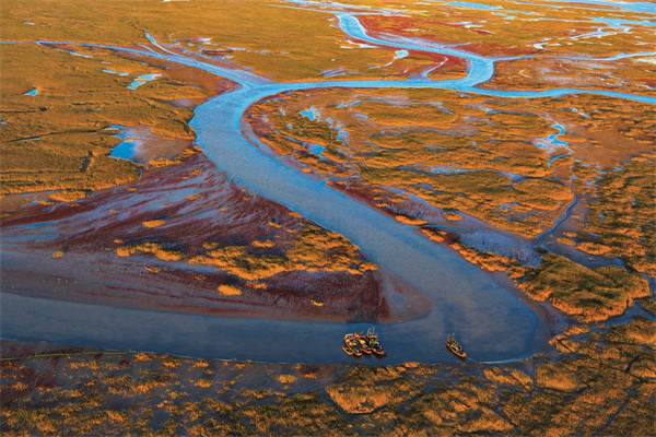 1750929418773065034.jpg 《黄河口新生地》侯贺良.jpg