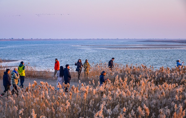 1764581492879035618.jpg 东营英文网4.jpg