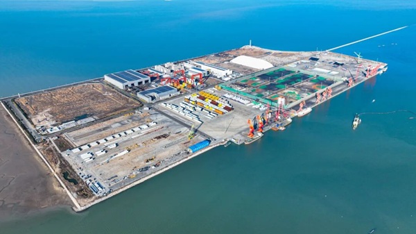 1765361095486008486.jpg 1.1.jpg