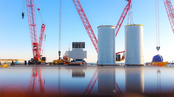 1765361113633066263.jpg 1.3.jpg