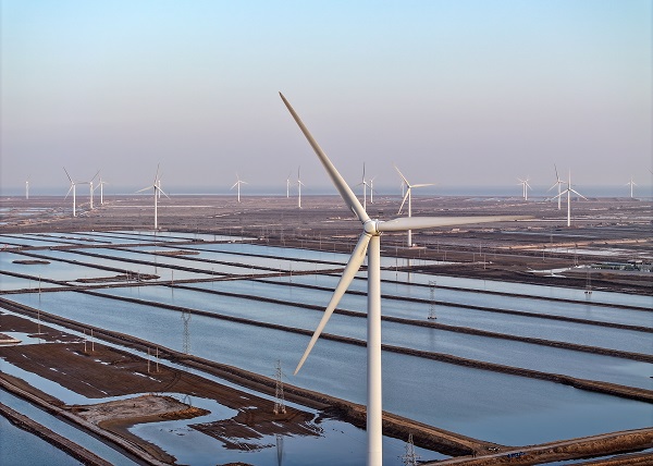 1765361244682051682.jpg 1765245649811000651.jpg