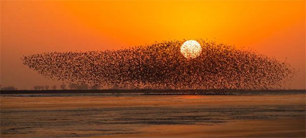 1765961035086014032.jpg 2.jpg