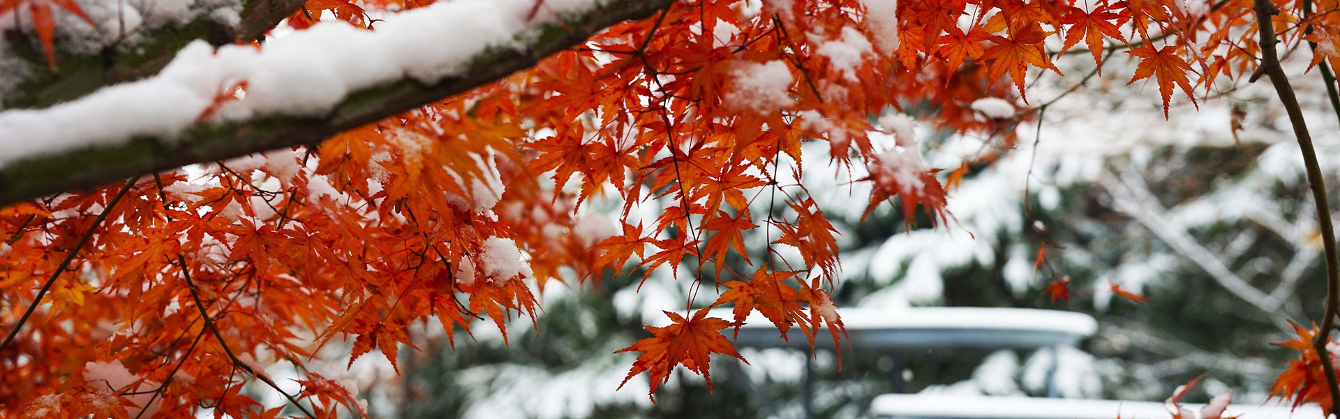 蓬萊戚府里古街夜晚掛起的燈籠 VCG211608216606_1920-600.jpg