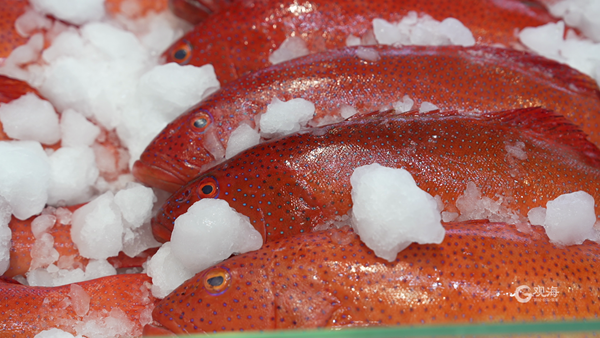 1698305578352052751.png 0f5690da-fed7-4db9-9b3b-e14844d64643_副本.png