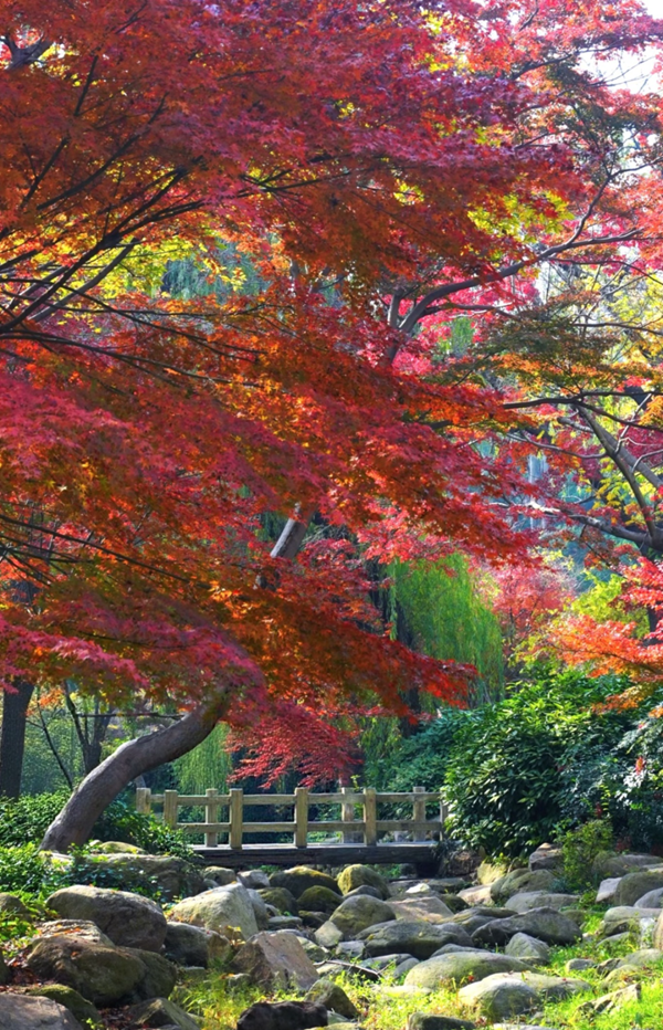 1764321789852060527.png 微信图片_2025-11-28_143521_070_副本.png