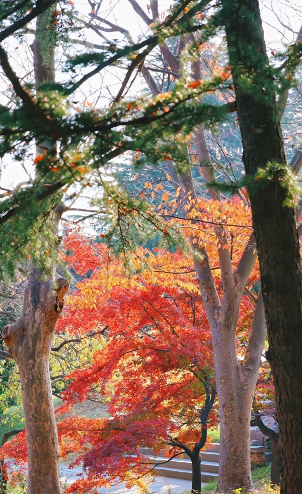 1764321816304059909.jpg 微信图片_2025-11-28_143543_606_副本.jpg