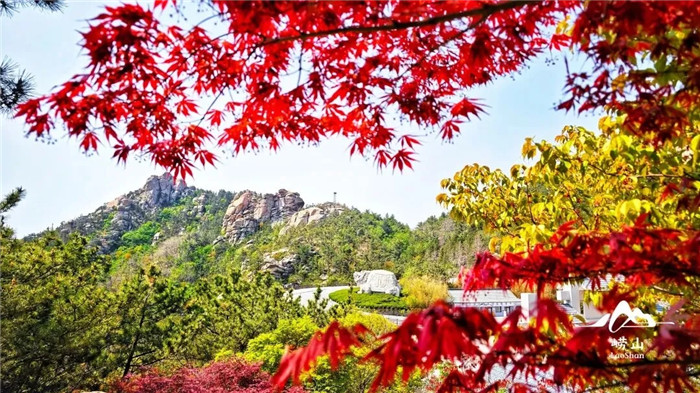 1764728409514083589.jpg 30-崂山-王胜亮 -3.webp_副本.jpg