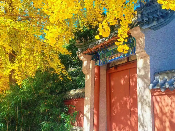 1764728450872043242.jpg 21-QD-2-徐莎莎.webp_副本.jpg