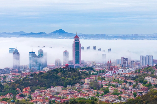 1766719169936041847.jpg 微信图片_2025-12-26_111639_444_副本.jpg