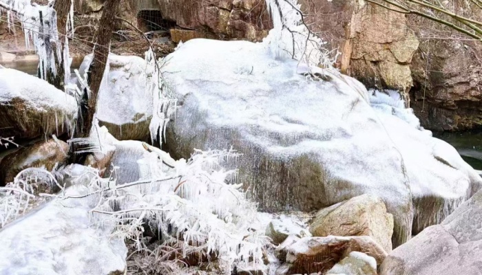 09-QD-3-LI QUN_1.jpg