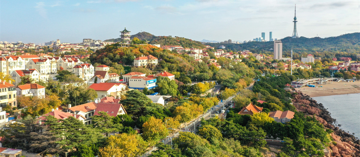 10-青岛秋景-轮播图.jpg