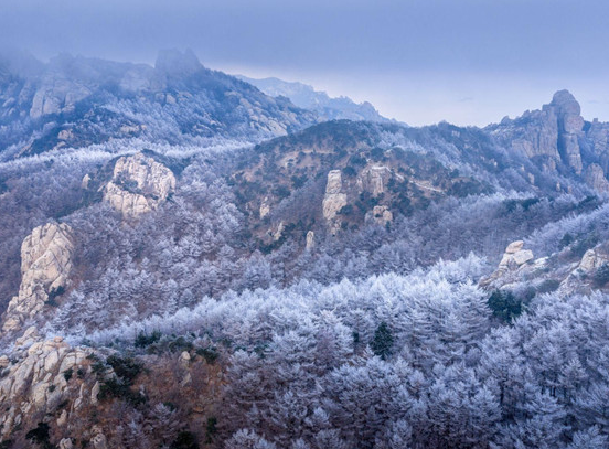 Rime adorns early winter in Qingdao's Laoshan Mountain