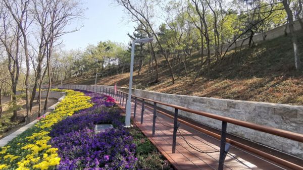 1666682922904002996.jpg 1025-02.jpg